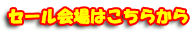 Z[͂